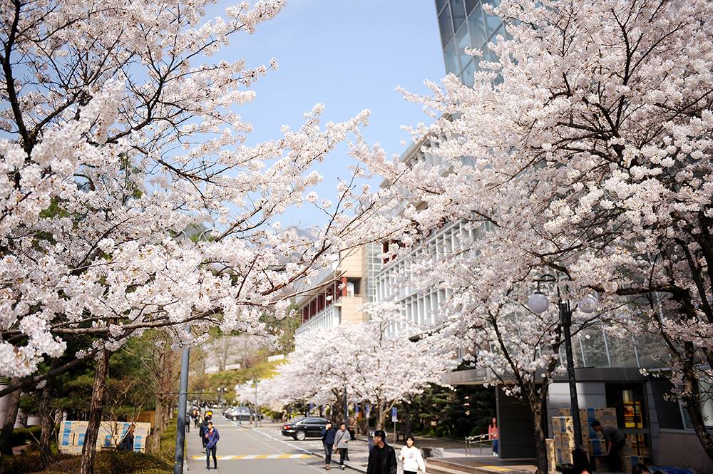 Trường đại học Kookmin Hàn Quốc tuyển sinh - Trung tâm du học Happedu